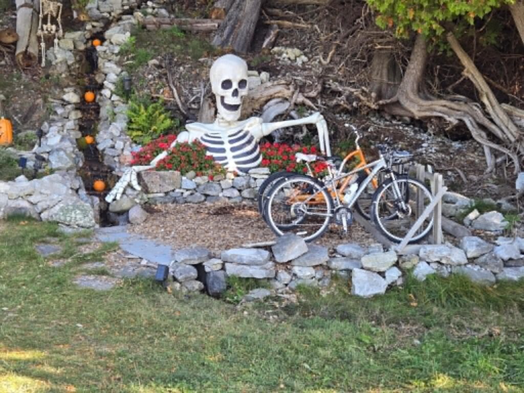 Halloween skeleton seated among flowers and rocks beside bicycles on Mackinac Island.