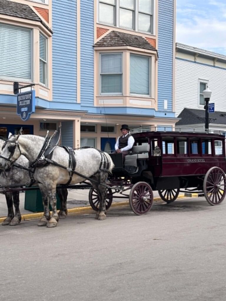 Draft horses in harness pulling a carriage on a Mackinac Island street