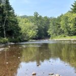 Calm, tannin-colored stretch of the Bad River lined with pine forest