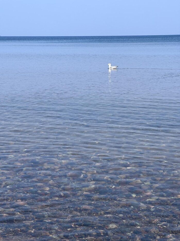 Clear water and rocky lakebed, Big Bay Town Park beach