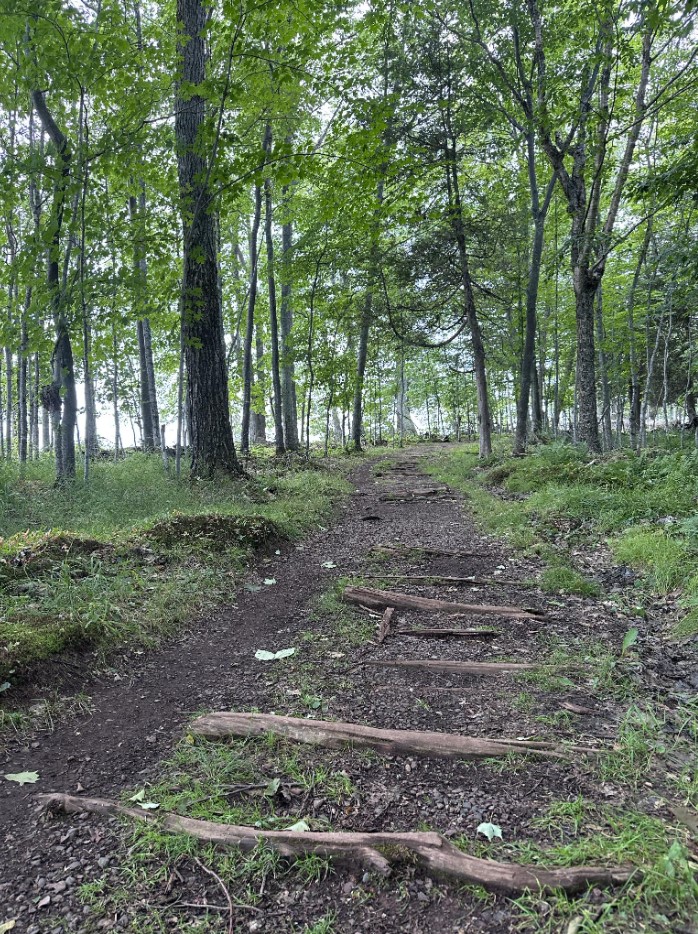 Dirt trail with exposed roots, Big Bay State Park