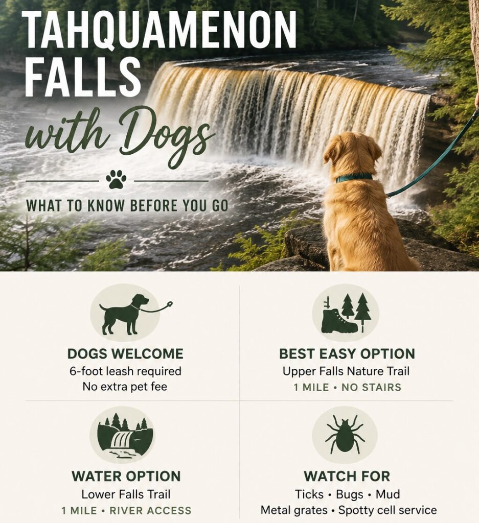 Dog-Friendly Tahquamenon Falls Guide